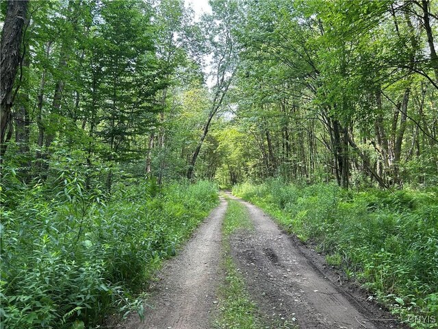 42 Kimball Camp Rd, Orwell, NY 13144 - photo 7