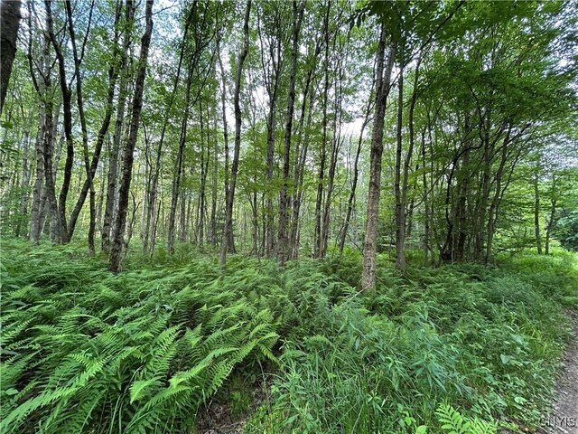 42 Kimball Camp Rd, Orwell, NY 13144 - photo 8
