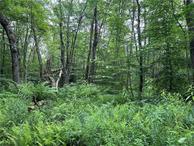 42 Kimball Camp Rd, Orwell, NY 13144 - photo 9