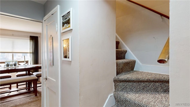 78 Heather Rd, Cheektowaga, NY 14225 - stairway with carpet flooring