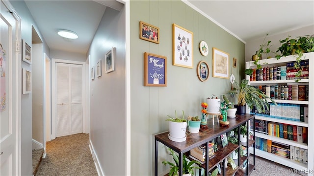 78 Heather Rd, Cheektowaga, NY 14225 - hall featuring carpet flooring and baseboards