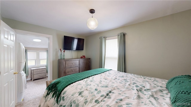 78 Heather Rd, Cheektowaga, NY 14225 - bedroom featuring multiple windows and light colored carpet