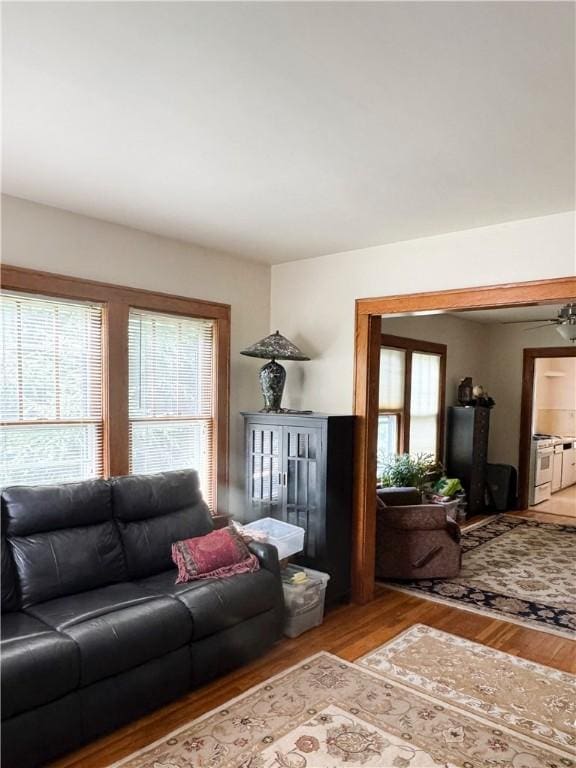 23 Linden St, Binghamton, NY 13901 - photo 3