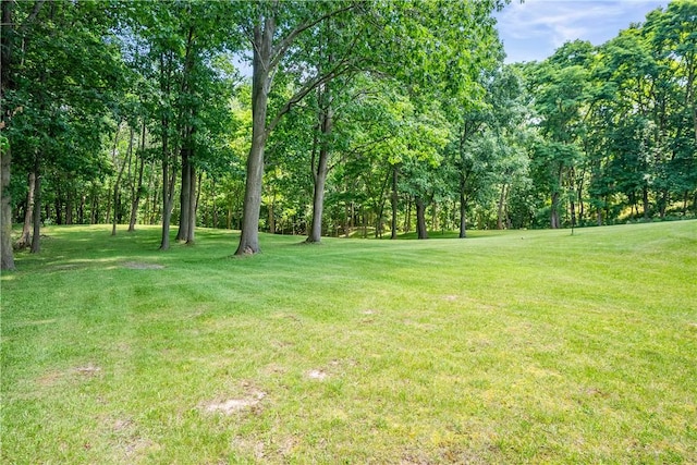 7992 County Road 41, Victor, NY 14564 - photo 36