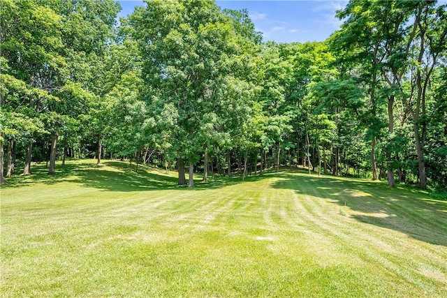 7992 County Road 41, Victor, NY 14564 - photo 37