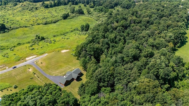 7992 County Road 41, Victor, NY 14564 - photo 47