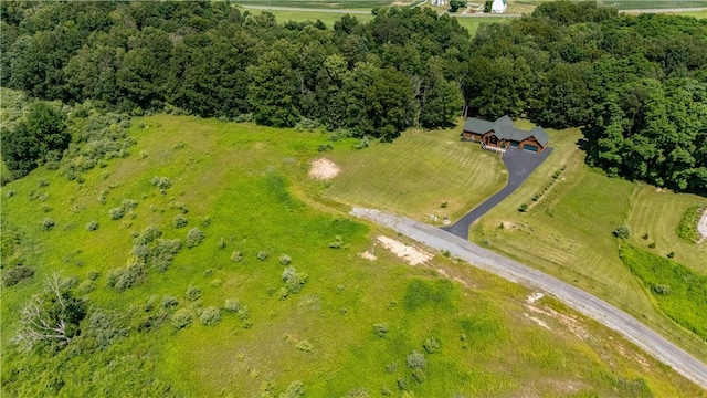 7992 County Road 41, Victor, NY 14564 - photo 49
