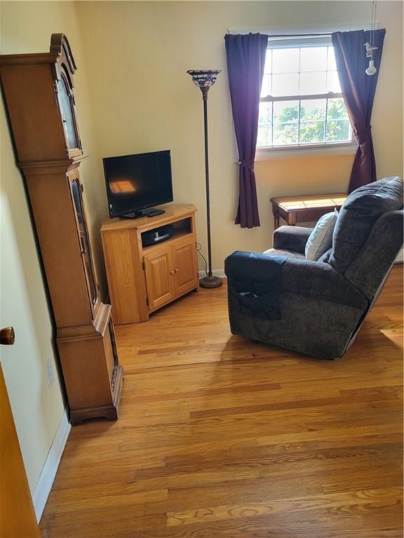 138 Dingman Hill Rd, Bainbridge, NY 13733 - living room featuring light wood-style floors