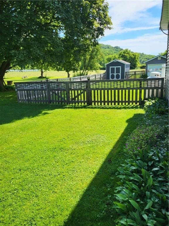 138 Dingman Hill Rd, Bainbridge, NY 13733 - fenced backyard featuring a storage unit
