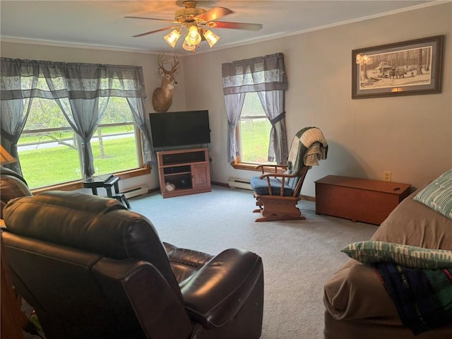 779-781 Copes Corners Rd, Butternuts, NY 13843 - photo 19