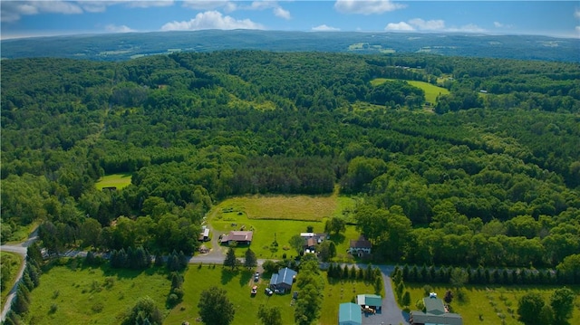779-781 Copes Corners Rd, Butternuts, NY 13843 - photo 8