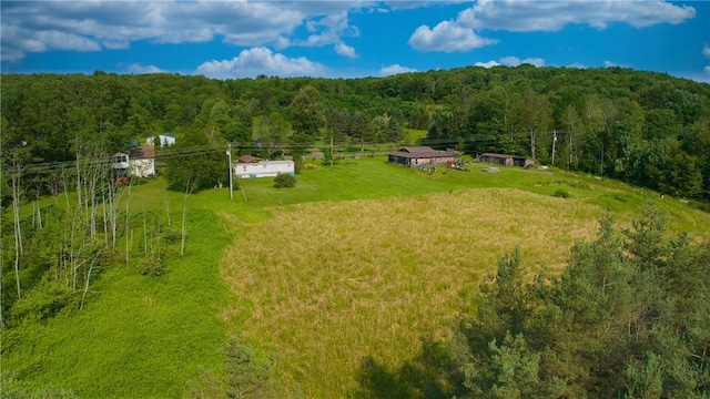 779-781 Copes Corners Rd, Butternuts, NY 13843 - photo 6