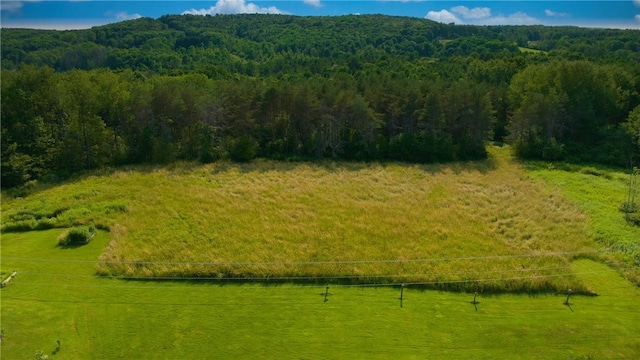 779-781 Copes Corners Rd, Butternuts, NY 13843 - photo 13