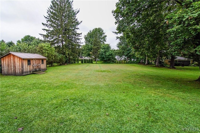 1010 Clearvue Dr, Alden, NY 14004 - photo 37