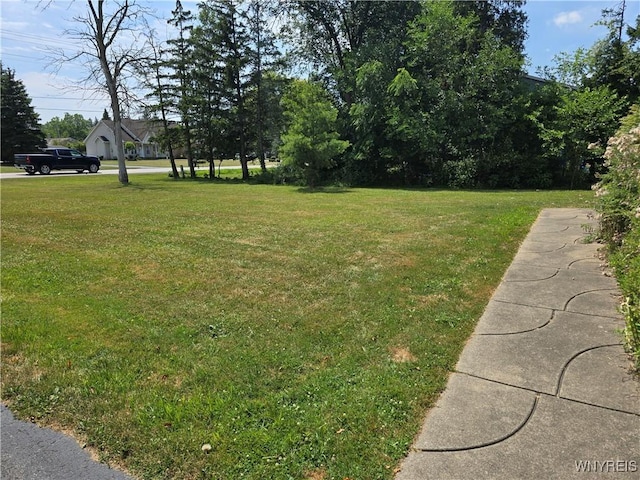 8390 Clarence Center Rd, Clarence, NY 14032 - photo 34