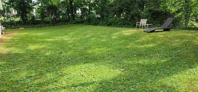 4639 Mayflower Dr, Gorham, NY 14424 - photo 8