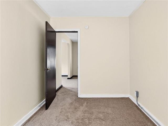 896-898 S Plymouth Ave, Rochester, NY 14608 - spare room featuring carpet, ornamental molding, and a smoke detector