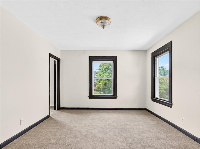 896-898 S Plymouth Ave, Rochester, NY 14608 - carpeted empty room featuring baseboards