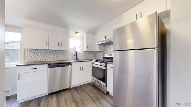 370 W W Girard Blvd, Tonawanda, NY 14217 - kitchen with stainless steel appliances, under cabinet range hood, light wood-style floors, and decorative backsplash