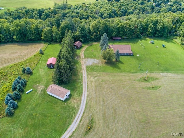 6023 N Glen Haven Rd, Niles, NY 13118 - photo 11