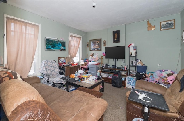 364 W 3rd St, Elmira City, NY 14901 - living room with carpet flooring