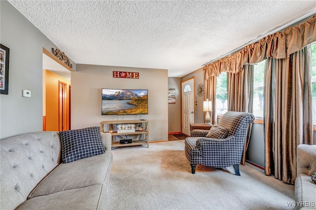 7 Cannas Ct, Cheektowaga, NY 14227 - carpeted living room with a textured ceiling