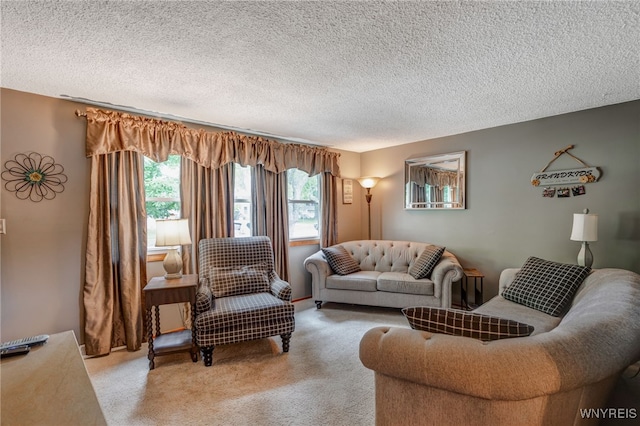 7 Cannas Ct, Cheektowaga, NY 14227 - living room featuring a textured ceiling and carpet floors