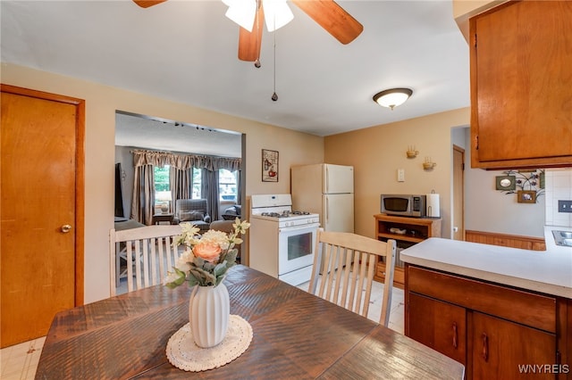7 Cannas Ct, Cheektowaga, NY 14227 - dining space with ceiling fan