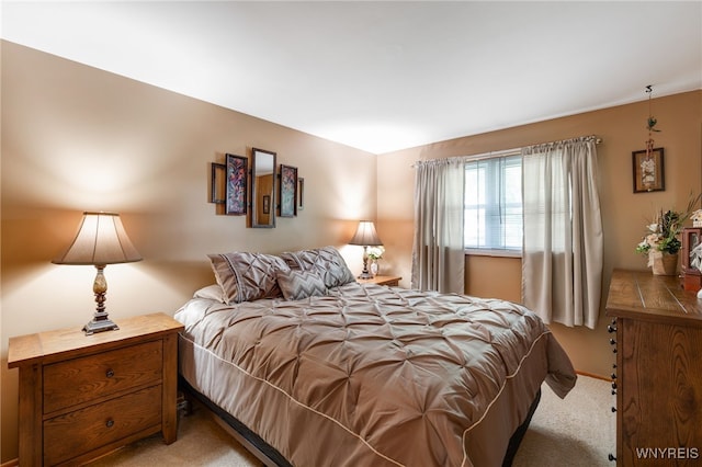 7 Cannas Ct, Cheektowaga, NY 14227 - bedroom with carpet floors