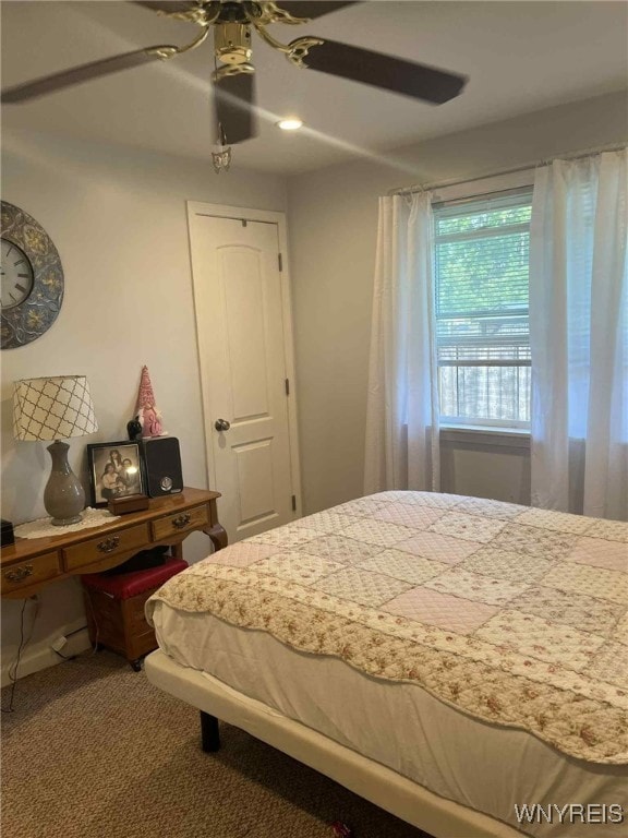 120 Park Lane Cir, Lockport City, NY 14094 - bedroom with carpet and ceiling fan