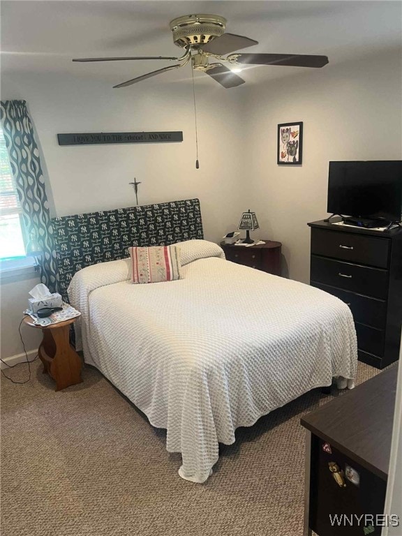 120 Park Lane Cir, Lockport City, NY 14094 - bedroom with carpet floors and ceiling fan