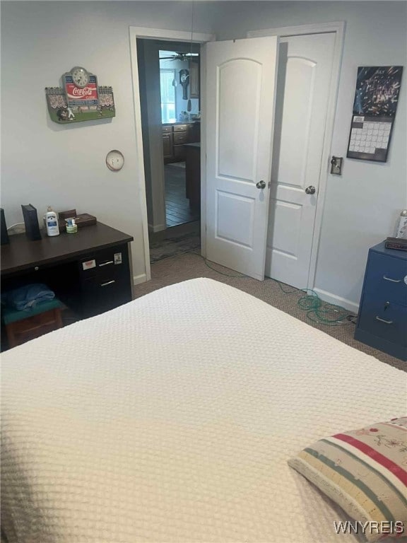 120 Park Lane Cir, Lockport City, NY 14094 - carpeted bedroom with baseboards and a closet