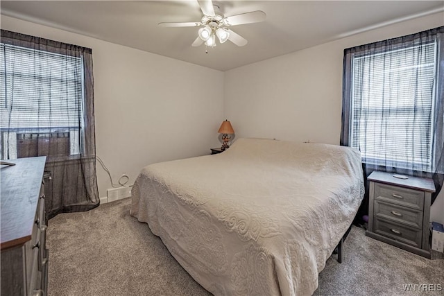 806 Cleveland Dr, Cheektowaga, NY 14225 - photo 23