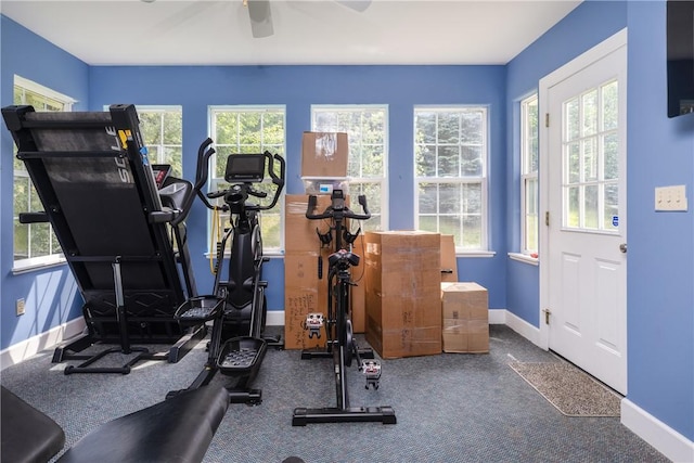 203 Upland Run, Horseheads, NY 14845 - exercise room featuring a ceiling fan, plenty of natural light, and carpet flooring