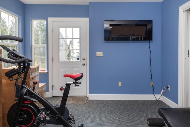 203 Upland Run, Horseheads, NY 14845 - exercise area featuring carpet floors and baseboards