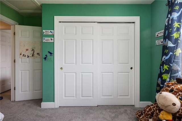 203 Upland Run, Horseheads, NY 14845 - bedroom featuring carpet flooring and a closet