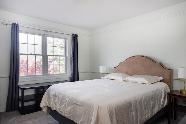 203 Upland Run, Horseheads, NY 14845 - view of carpeted bedroom