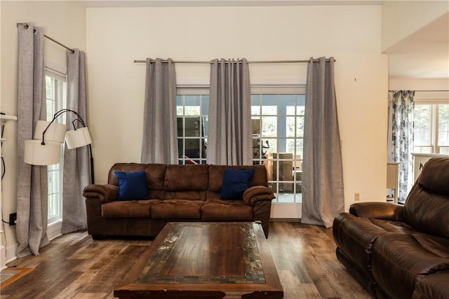 203 Upland Run, Horseheads, NY 14845 - living room with wood finished floors