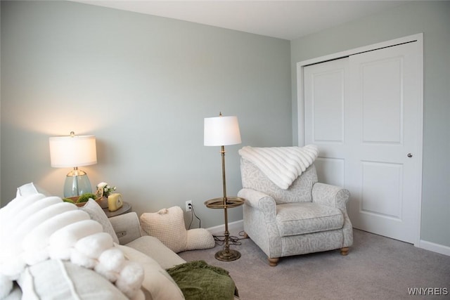 4745 Carlyes Ct, Hamburg, NY 14075 - photo 36