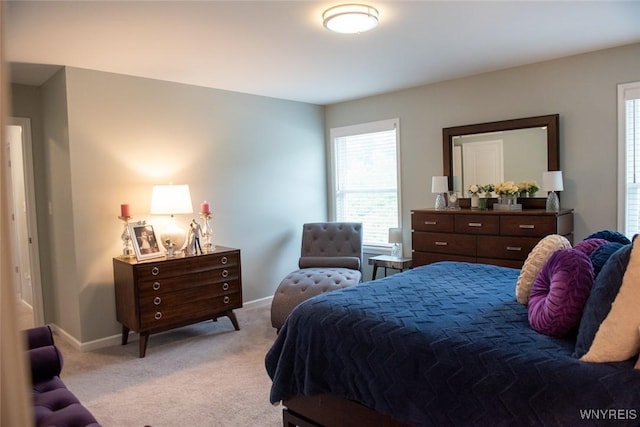 4745 Carlyes Ct, Hamburg, NY 14075 - photo 29