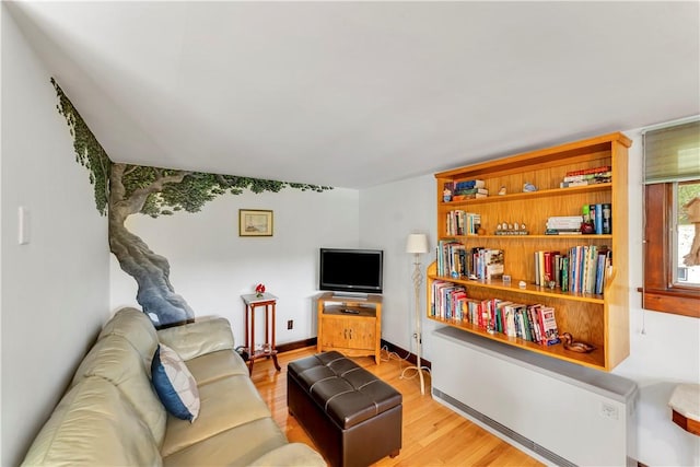 61 Country Pl, Colesville, NY 13813 - living area featuring light wood-type flooring