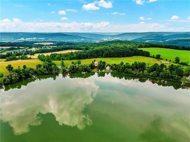 61 Country Pl, Colesville, NY 13813 - aerial view of a large body of water