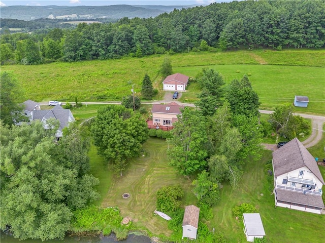 61 Country Pl, Colesville, NY 13813 - drone / aerial view
