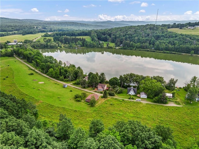 61 Country Pl, Colesville, NY 13813 - aerial view of a nearby body of water and a forest