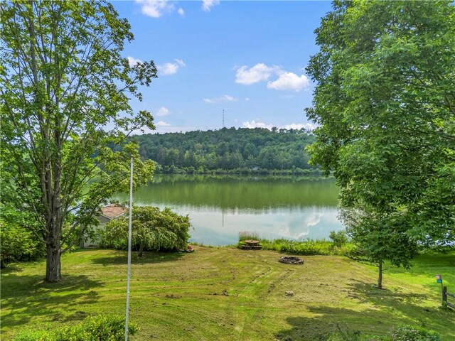 61 Country Pl, Colesville, NY 13813 - water view featuring an outdoor fire pit and a forest