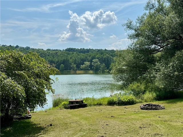 61 Country Pl, Colesville, NY 13813 - water view featuring a heavily wooded area