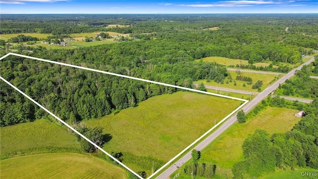 Frank Lacy Rd, Richland, NY 13142 - photo 3