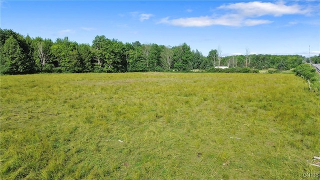 Frank Lacy Rd, Richland, NY 13142 - photo 8