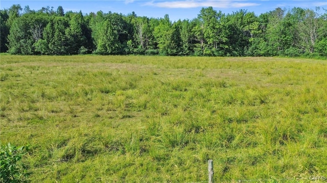 Frank Lacy Rd, Richland, NY 13142 - photo 10