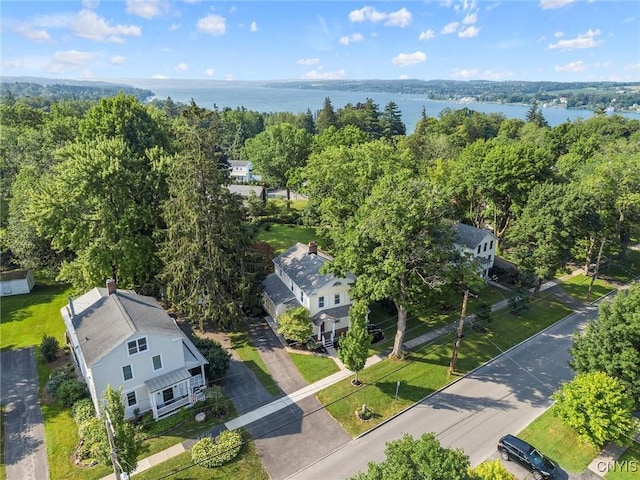 16 Onondaga St, Skaneateles, NY 13152 - drone / aerial view of a nearby body of water